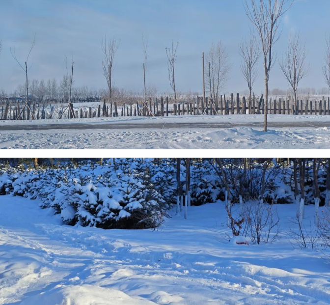 1703238911161558.jpg 1703230963961.jpg